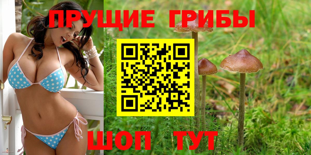 Псилоцибиновые грибы MAGIC MUSHROOMS Щёкино