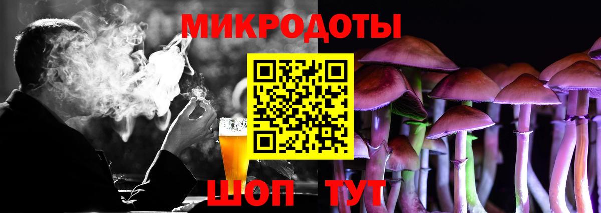 Псилоцибиновые грибы Psilocybe  Вход с VPN  Щёкино 